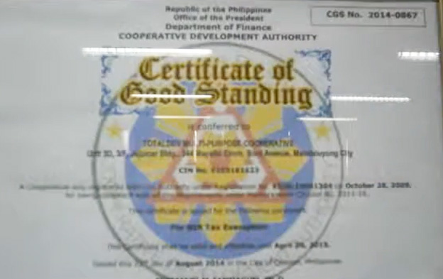 TotalDev Excellence in Service Award